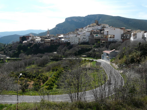 P1010773.JPG