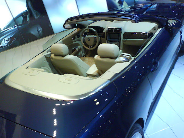 jaguar%2002b.jpg